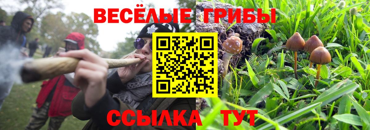 Галлюциногенные грибы мухоморы  Галлюциногенные грибы Psilocybe  Ялуторовск  Вход с VPN 